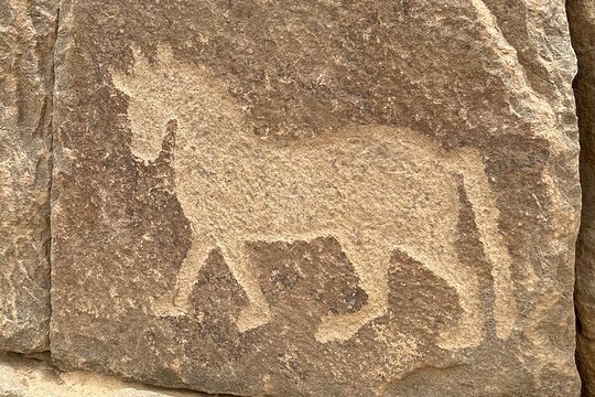 Tour image 5