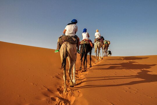 Tour image 10